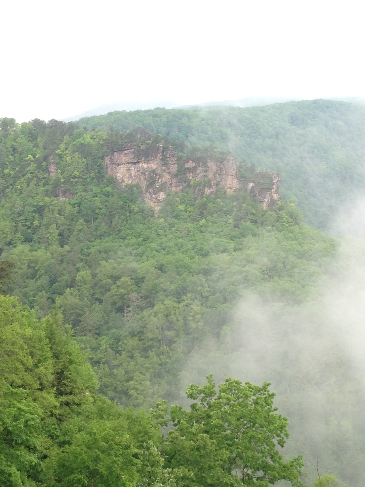 Come Get It Puddy&nbsp;Tat