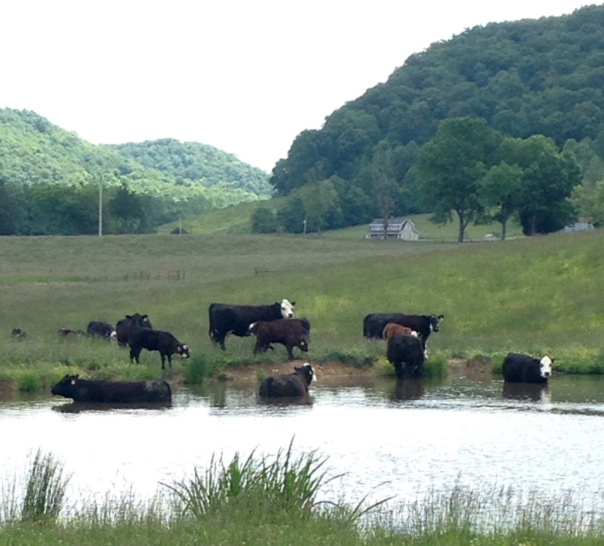 Come In, The Water’s&nbsp;Lovely!